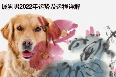 属狗人2023年运势运程，82年属狗未来5年