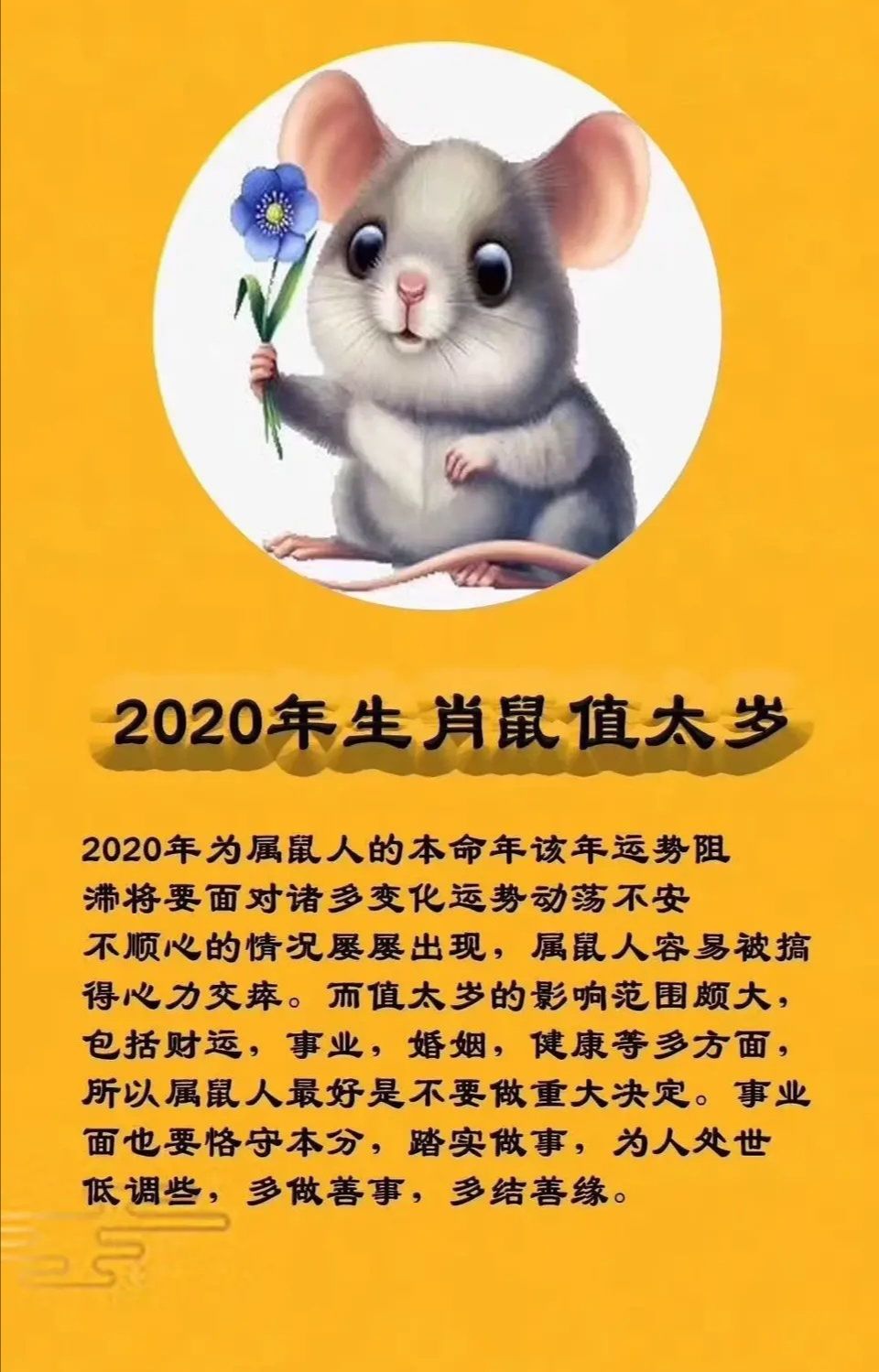 罗李华:属鼠2019年运势及运程出生的年份